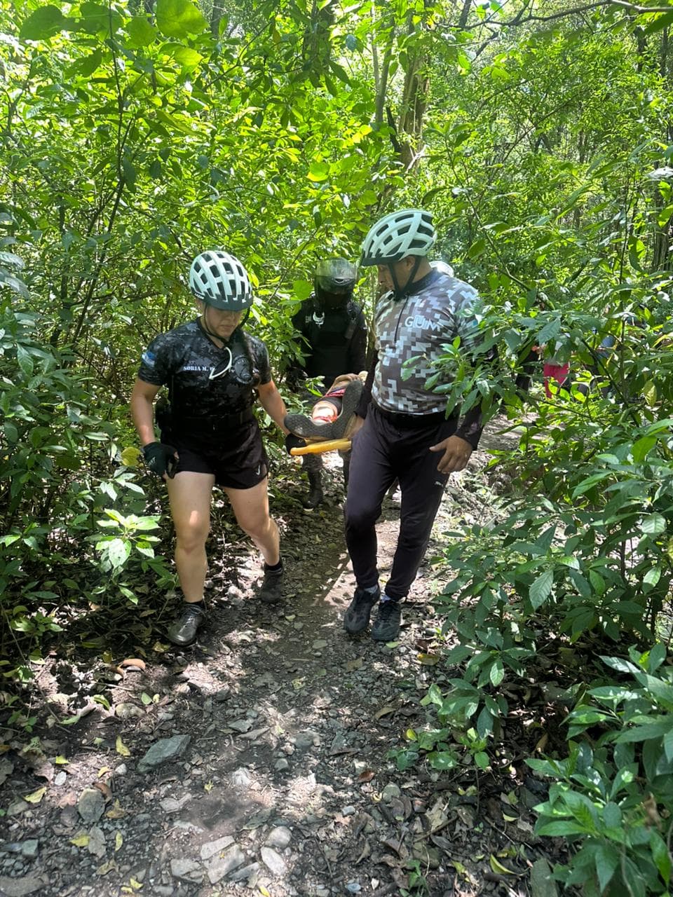 Actuación en emergencias y apoyo interinstitucional